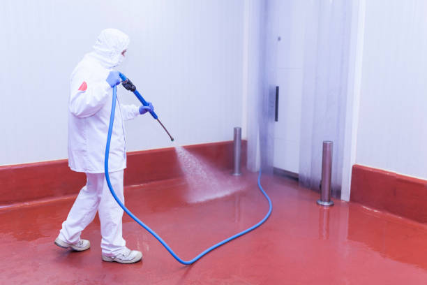 Best Sidewalk and Walkway Cleaning  in Fort Meade, MD